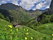 25 Baitella in mezzo ai fiori con in fronte il torrione del Corno Branchino